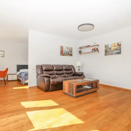 Apartment Cohost I City Centre Apt With River View Klaipeda