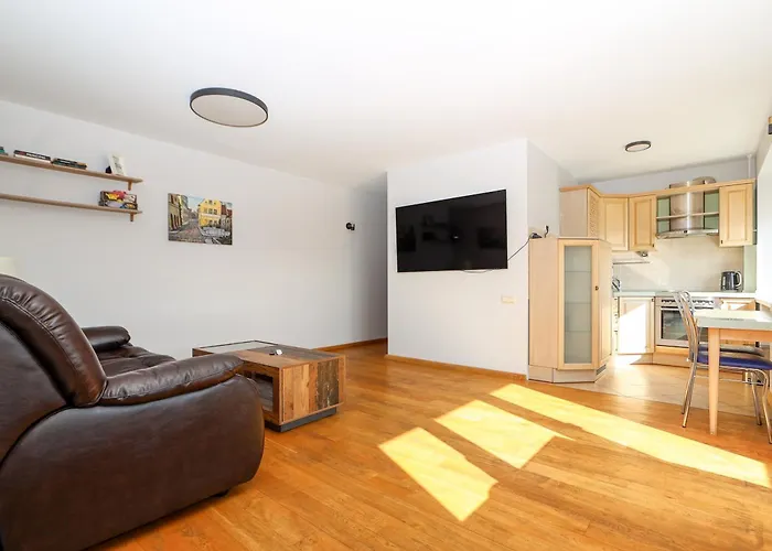 Cohost I City Centre Apt With River View * Kłajpeda